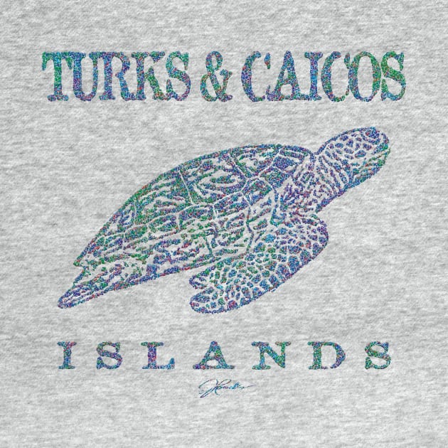 Turks & Caicos Islands Gliding Sea Turtle by jcombs